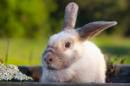 WhatsApp Image 2025-10-14 at 06.36.03 (1)